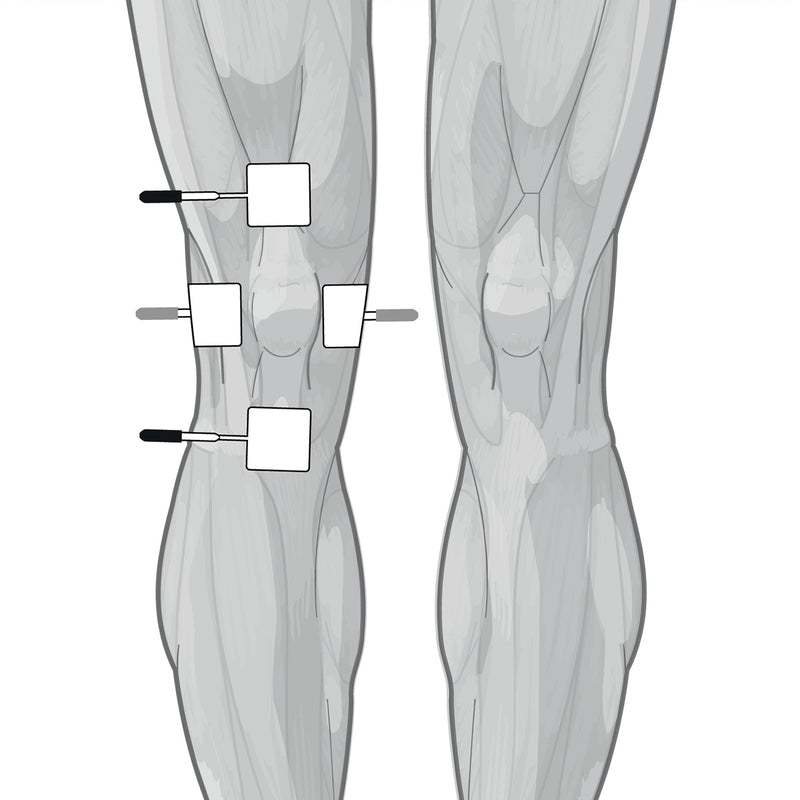 Load image into Gallery viewer, Genesy 600