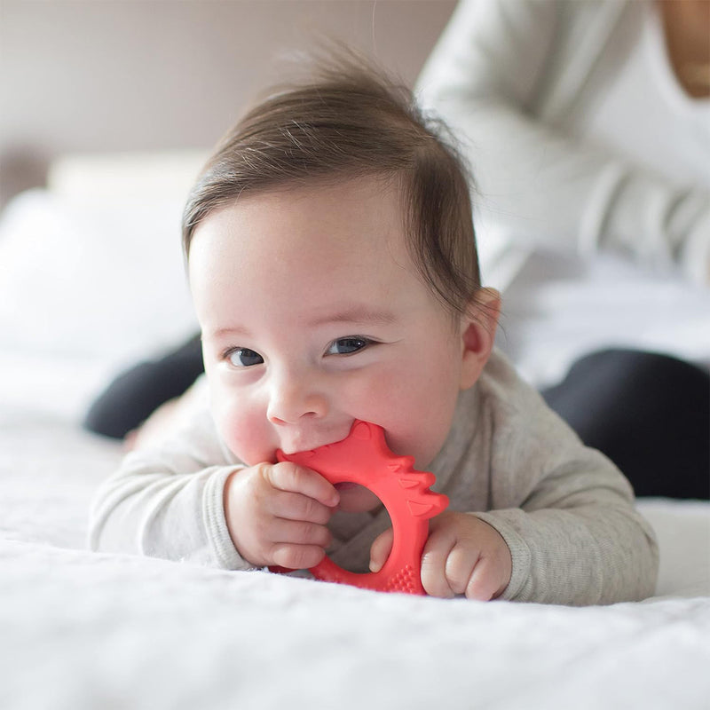 Load image into Gallery viewer, Dr. Brown’s™ Flexees Friends™ Teether - Red Fox
