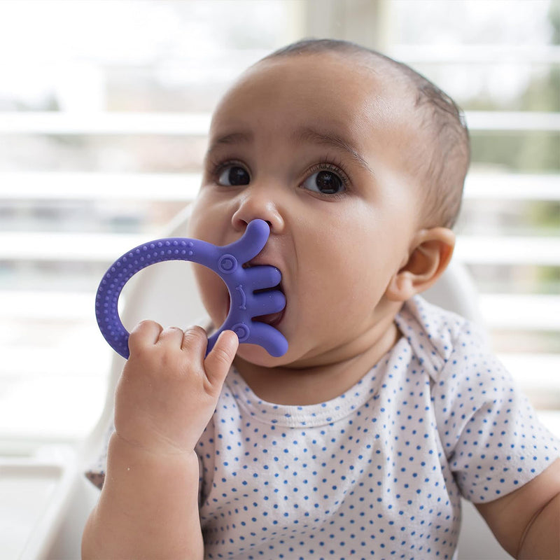 Load image into Gallery viewer, Dr.Brown’s™ Flexees Friends™ Teether - Purple Octopus
