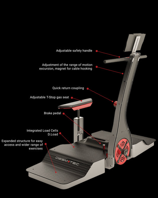 D.Plus Specification